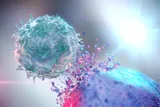 Killing cancer cell