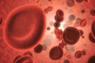 COVID and blood vessels