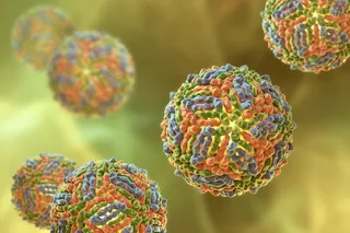 image of the west nile virus