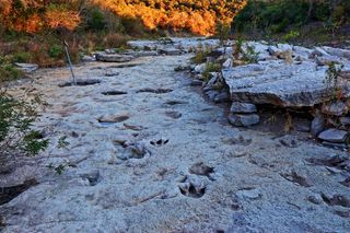Dried riverbed with dinosaur footprints 