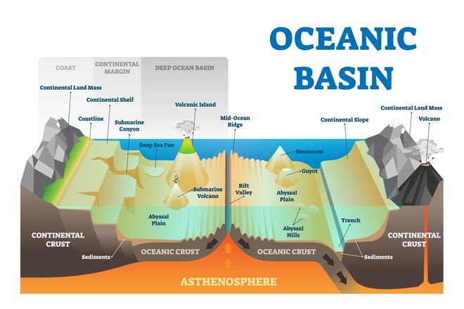 Seafloor infographic