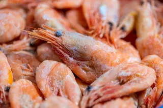 frozen shrimp 