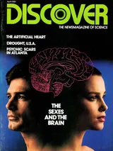 The cover image of the April1981 issue of Discover Magazine, showing the heads of a man and a woman standing back-to-back, with an line sketch of a human brain superimposed on their heads