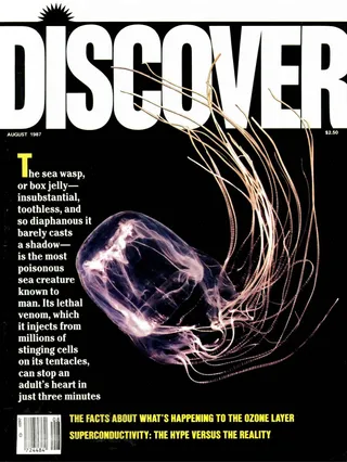 The cover image of the August 1987 issue of Discover Magazine
