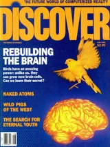 The cover image of the June 1990 issue of Discover Magazine