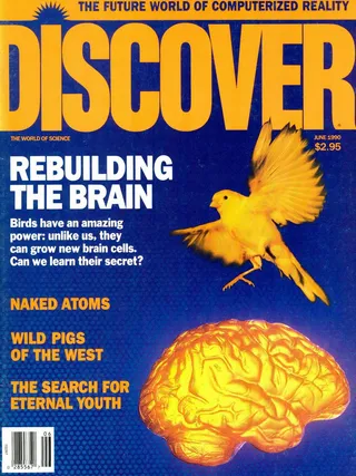 The cover image of the June 1990 issue of Discover Magazine