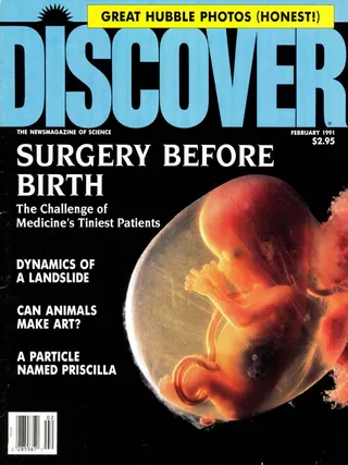 The cover image of the February 1991 issue of Discover Magazine