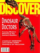 The cover image of the November 1991 issue of Discover Magazine