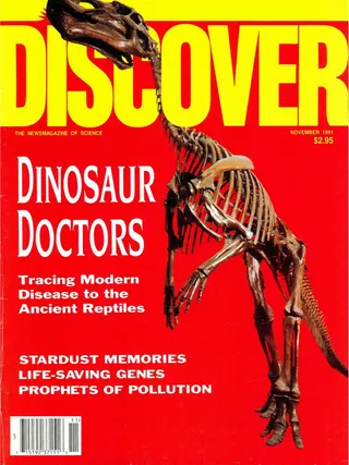 The cover image of the November 1991 issue of Discover Magazine