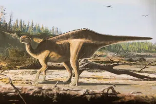 Istiorachis artist impression