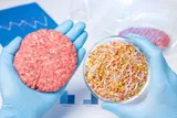 Meat vs. plant protein