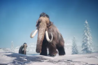 Woolly mammoth DNA and bacteria