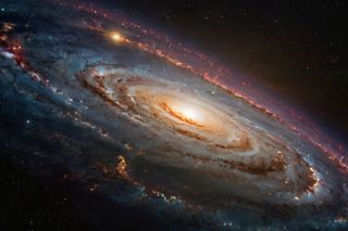 Can a black hole die?