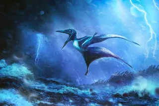 An artist’s impression of a tiny Pterodactylus hatchling struggling against a raging tropical storm, inspired by fossil discoveries. Artwork by Rudolf Hima.