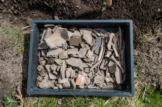 box of bones from ancient feast