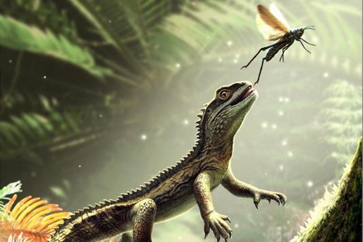 A 242-Million-Year-Old Fossil Has Drastically Altered the Story of Lizard Evolution