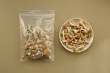 magic mushrooms