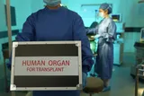 Doctor carrying an organ transplant box