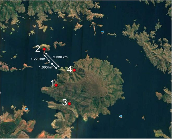 a map showing the locations of the Brazilian jaguar