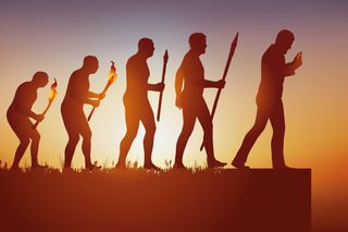 human evolution