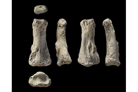 Human Fingers, Saudi Arabia - Ian Cartwright