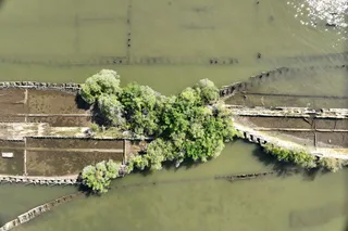 Sunken war vessels now home to marine life