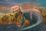 Illustration of Joaquinraptor with crocodile arm in its mouth.
