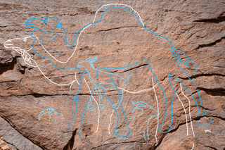 Carvings of animals, outlined in white and blue, overlaid on top of a panel of rock, including three camels and three gazelles.