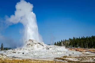 a geyser at Yellowstone National Park erupting 