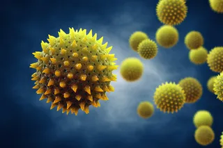 Indoor allergens