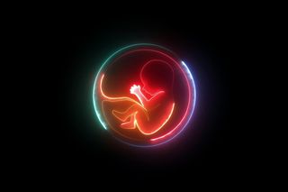 Placenta in the uterus and futuristic