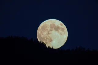 a supermoon rising above a tree line a supermoon rising above a tree line
