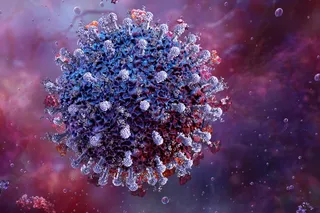 the covid virus the covid virus