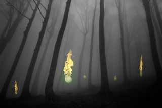 Will-o-the-wisp flames in an enchanted forest Will-o-the-wisp flames in an enchanted forest