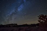 Orionids Meteor Shower 