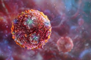 Chikungunya virus spreading Chikungunya virus spreading