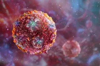 Chikungunya virus spreading Chikungunya virus spreading