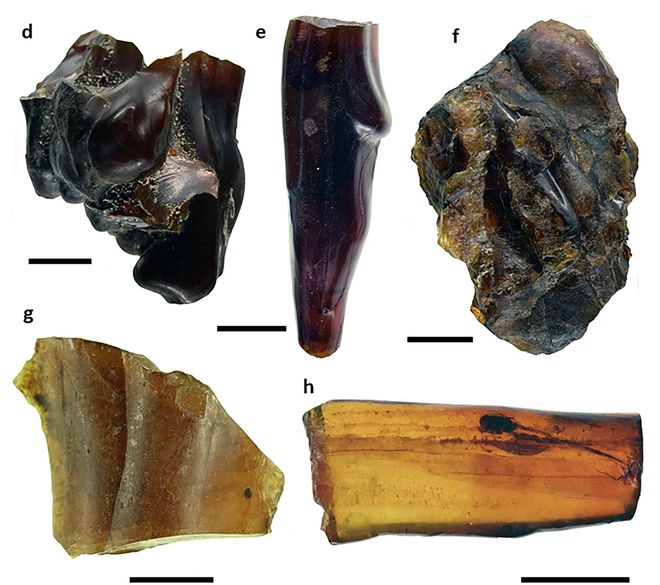 A collection of small or medium-sized amber pieces, in shades of brown or orange. A collection of small or medium-sized amber pieces, in shades of brown or orange.