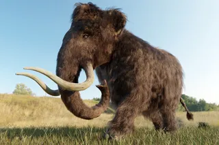 Mammoth during Ice Age Mammoth during Ice Age