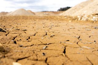 Sixth mass extinction Sixth mass extinction