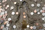 Chicago rat hole impression in side walk cement surrounded by coins 