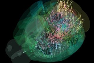 Brain-wide map showing 75,000 analysed neurons