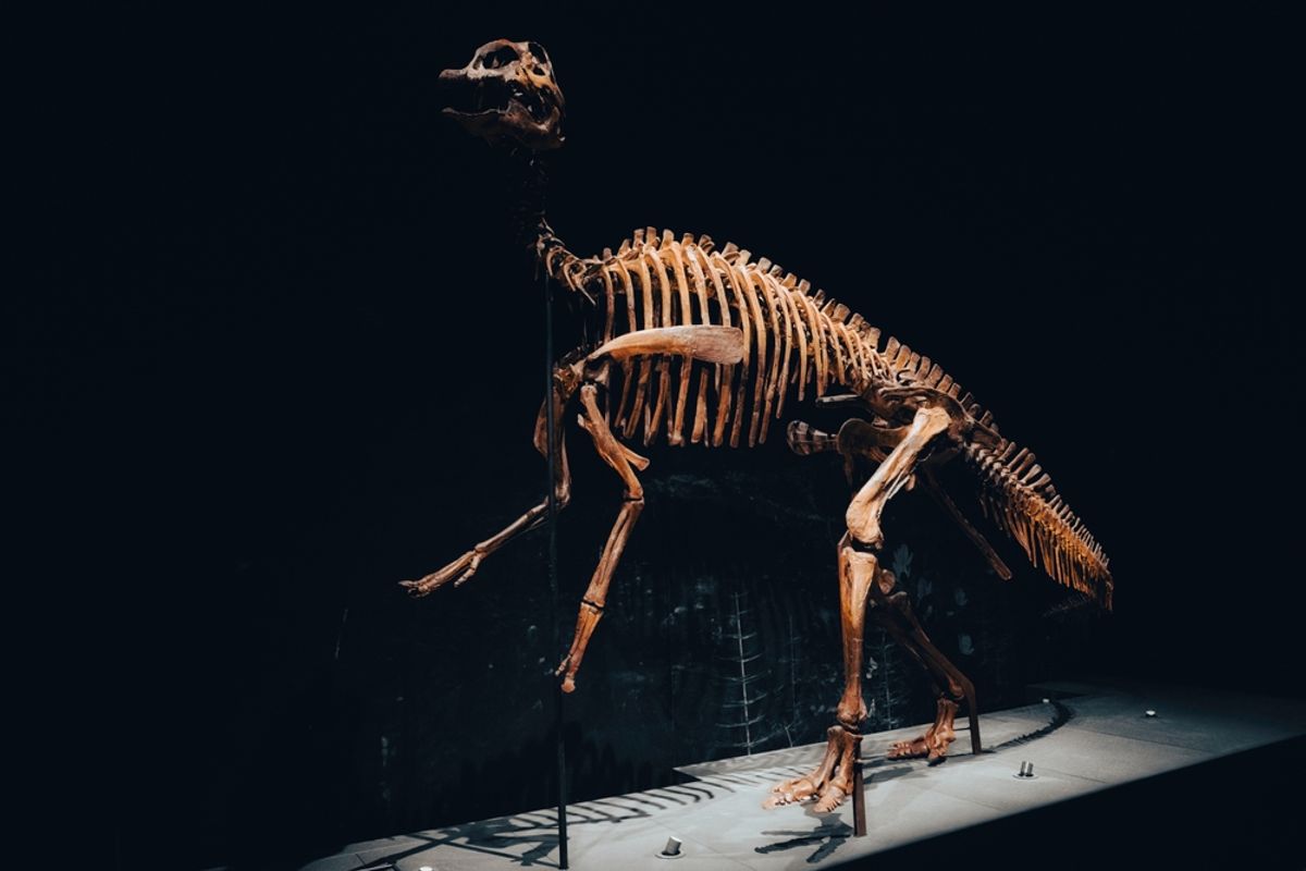 Mummy Dinosaurs Now Shrouded in Clay Had Hooves like Horses and Long Duck Bills