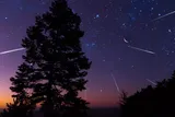 meteor shower with tree