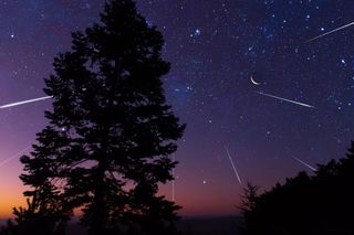 meteor shower with tree meteor shower with tree