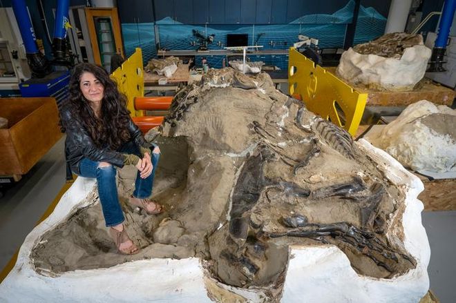 Lindsay Zanno, associate research professor at North Carolina State University and head of paleontology at the North Carolina Museum of Natural Sciences, with the Dueling Dinosaurs fossil.