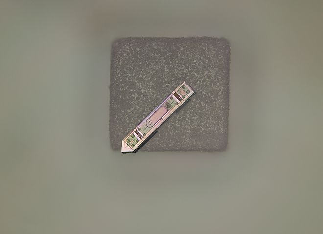 tiny brain chip on grain of salt