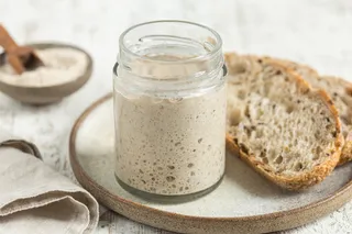 sourdough bread and starter