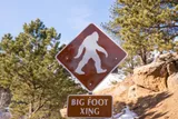 Bigfoot or Sasquatch crossing sign in the woods