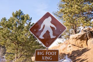 Bigfoot or Sasquatch crossing sign in the woods